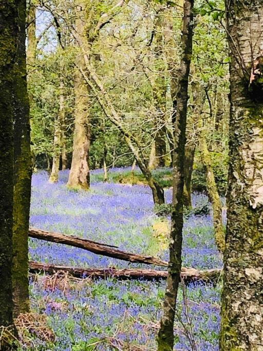 Holly Cottage Bowness-on-Windermere Luaran gambar
